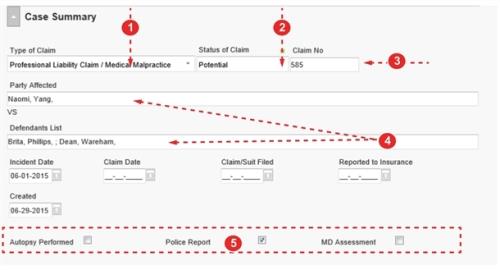Case Summary form section